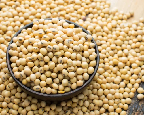 Soybean